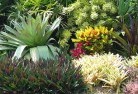 Beechboroplanting-garden-and-landscape-design-24.jpg; ?>