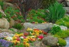 Beechboroplanting-garden-and-landscape-design-69.jpg; ?>